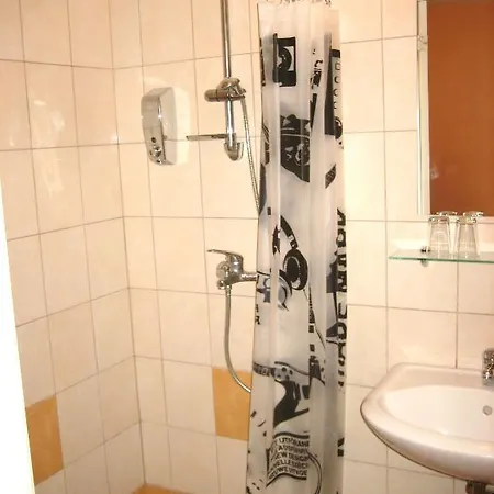 Auksine Avis Bed & Breakfast 3*