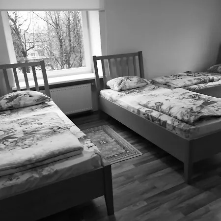 Auksine Avis