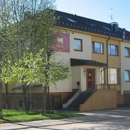 Auksine Avis Wilna