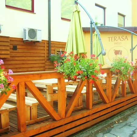 Auksine Avis