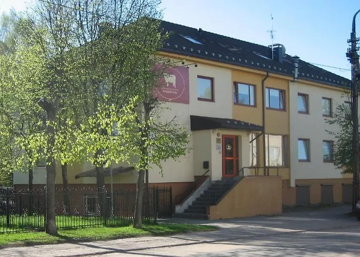 Auksine Avis Vilnius