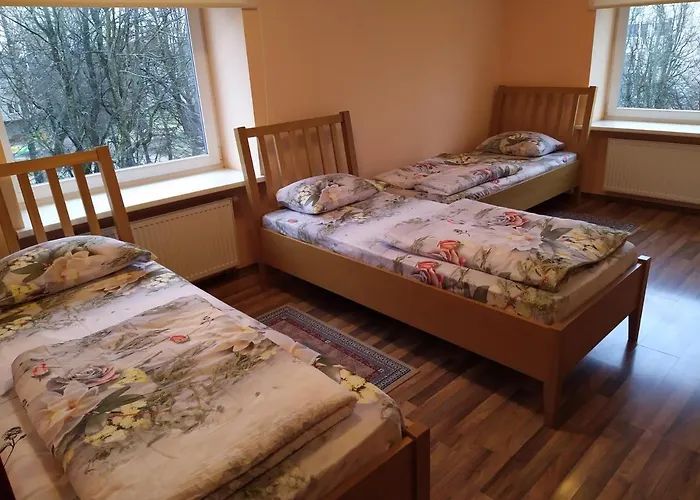 Auksine Avis Bed & Breakfast Vilnius