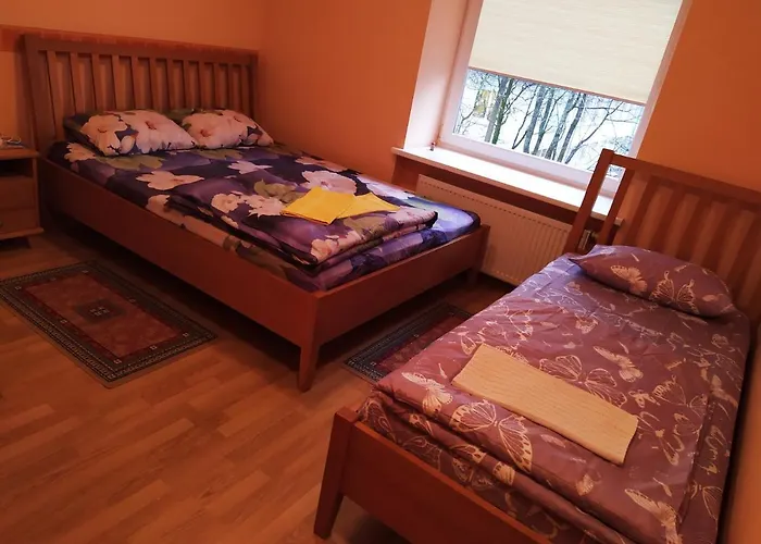 Couette-café Auksine Avis 3*